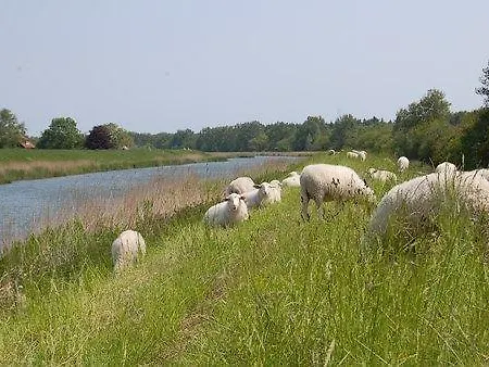 De Logeerkamer *